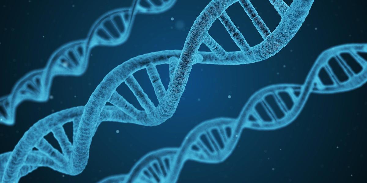 L’aparició del biodisseny sintètic L’aparició del biodisseny sintètic