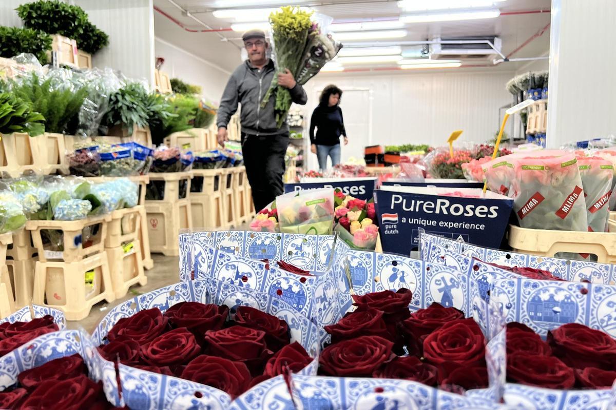 Flors marrons, tenyides i vellutades: així són les noves roses que arriben per Sant Jordi Flors marrons, tenyides i vellutades: així són les noves roses que arriben per Sant Jordi