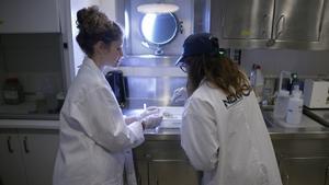Científiques allunyades de les càmeres