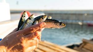 I tota la pesca és una campanya per reconèixer el paper essencial del sector pesquer