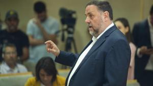 Junqueras: «L’amnistia és imprescindible per negociar el dret a l’autodeterminació»