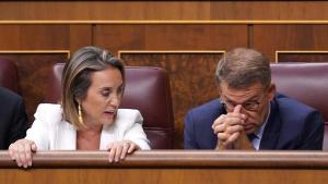 El PP fracassa en la primera batalla de la legislatura després d’exposar Cuca Gamarra