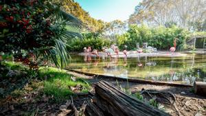 La nova iniciativa del Zoo de Barcelona per preservar la biodiversitat