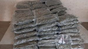El ‘Bajarse al moro’ dels turistes europeus que venen a buscar marihuana a Catalunya