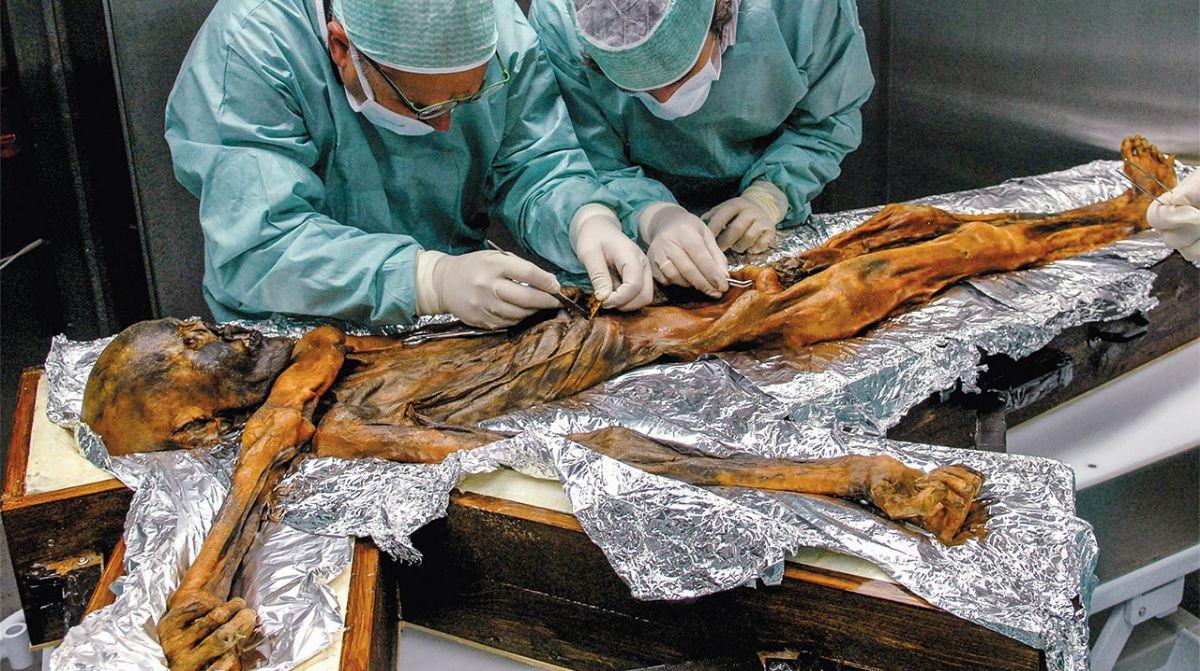 Calb, de pell fosca i ulls marrons: així era realment l’Ötzi, l’’home de gel’ assassinat fa 5.000 anys Calb, de pell fosca i ulls marrons: així era realment l’Ötzi, l’’home de gel’ assassinat fa 5.000 anys