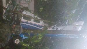 El miracle de tres nens i un nadó: sobreviuen 17 dies a la selva després d’un accident d’avioneta