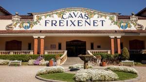 Freixenet acomiadarà 180 empleats i reduirà un 25% la seva plantilla per la sequera