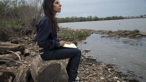 pj-harvey
