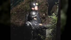 Vídeo | Així s’ha desmantellat a França una xarxa de tràfic de marihuana des de Catalunya