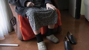 El Govern planta a Amposta la llavor de la nova atenció als dependents